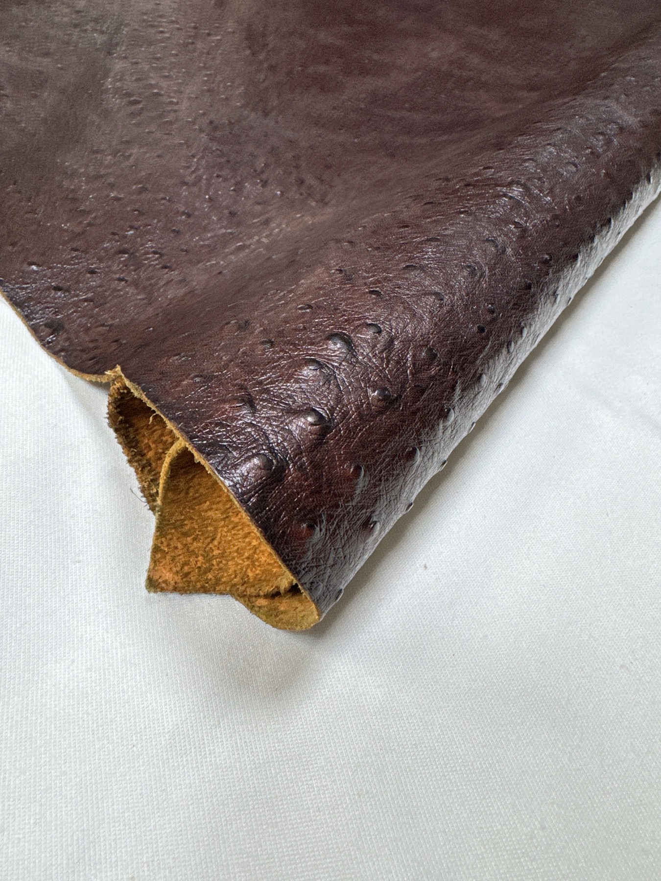 OQ-01 close-up leather surface texture